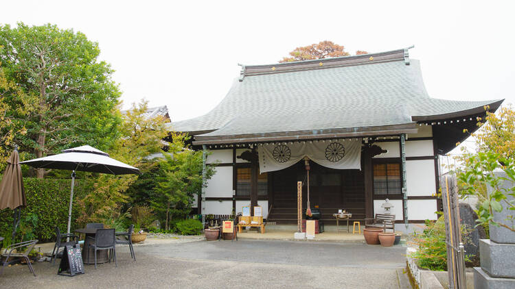 カフェテラス普賢寺
