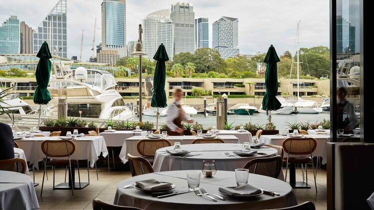 Kingsleys Woolloomooloo