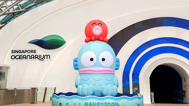 Start your trail with a giant inflatable of Hangyodon Start your trail with a giant inflatable of Hangyodon