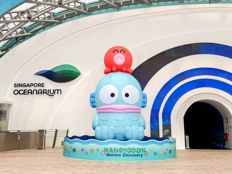 Start your trail with a giant inflatable of Hangyodon Start your trail with a giant inflatable of Hangyodon