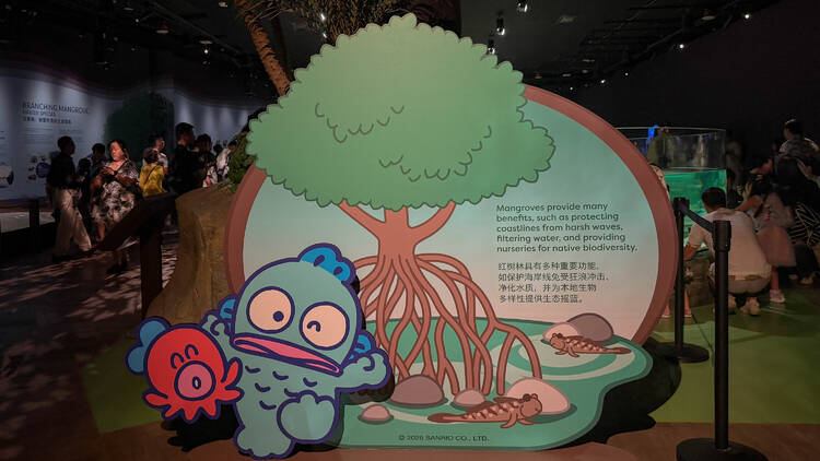 Spot him again as you explore marine wonders Spot him again as you explore marine wonders