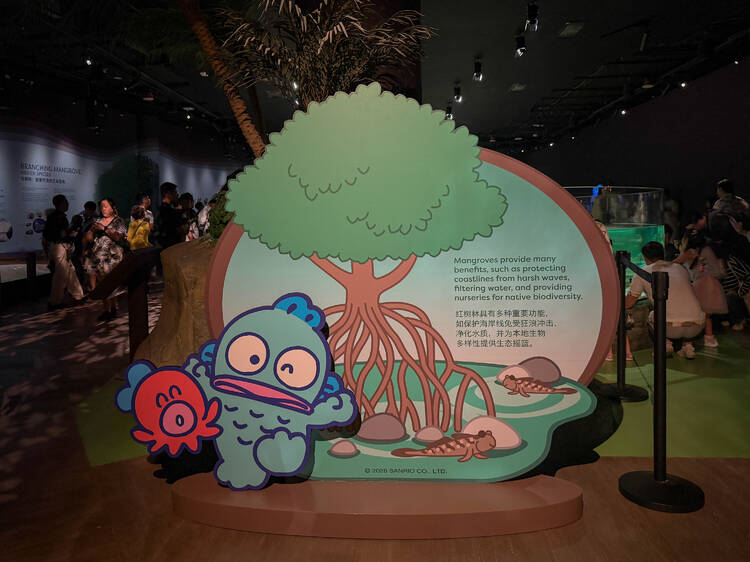 Spot him again as you explore marine wonders Spot him again as you explore marine wonders