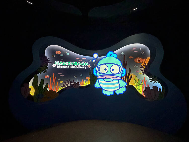 Dive into shark territory and coral gardens before a meet-and-greet with Hangyodon Dive into shark territory and coral gardens before a meet-and-greet with Hangyodon