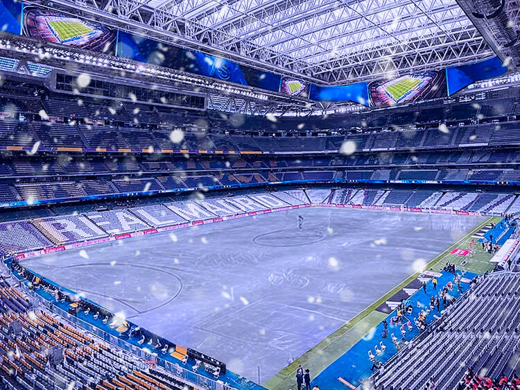 Mavidad Bernabéu Mavidad Bernabéu