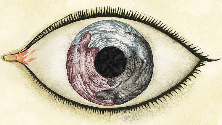 Ana Juan. Wunderkammer