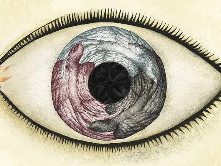 Ana Juan. Wunderkammer Ana Juan. Wunderkammer