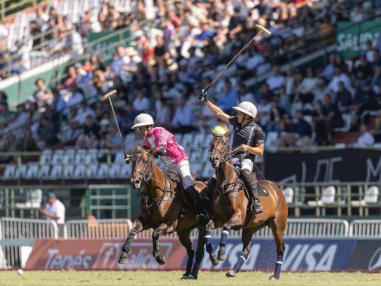 Grand Final of the Argentine Open Polo Championship