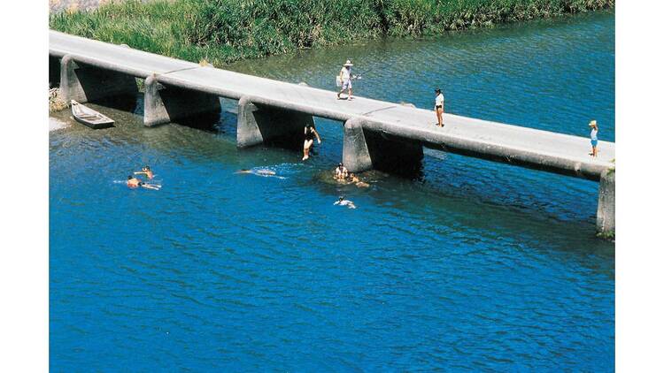 LOCAL LOCAL －ないものはない－ 梅原真展