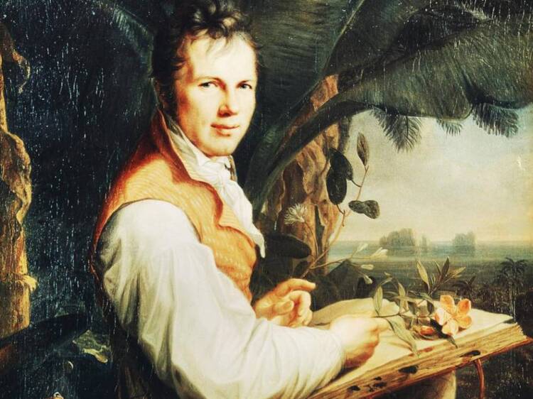 Archivo Alexander Von Humboldt Madrid: Gesto Pacífico Archivo Alexander Von Humboldt Madrid: Gesto Pacífico
