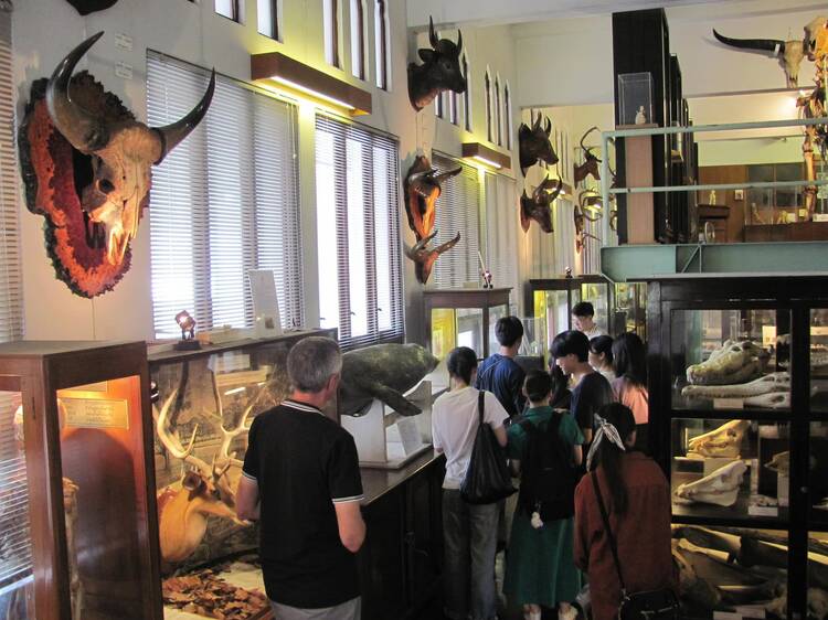 Night At The Museum 2025 ชวนไปเปลี่ยนพิพิธภัณฑ์ให้เป็นเพื่อนยามดึกตลอดเดือนธันวาคมนี้ Night At The Museum 2025 ชวนไปเปลี่ยนพิพิธภัณฑ์ให้เป็นเพื่อนยามดึกตลอดเดือนธันวาคมนี้