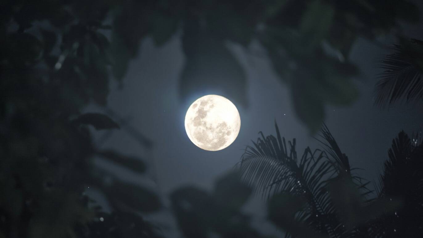 Australia’s final supermoon of 2025 is tonight: how to see it