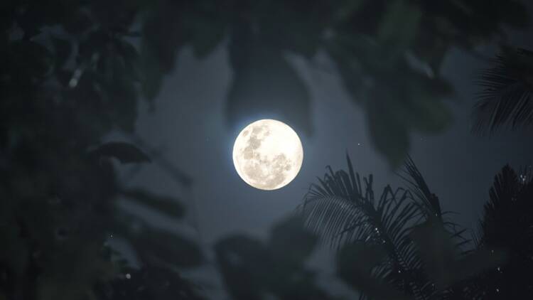 Supermoon Supermoon in dark sky