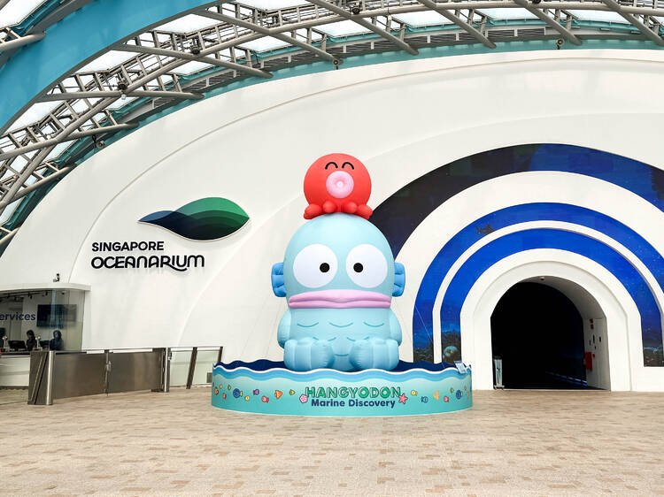 Start your trail with a giant inflatable of Hangyodon