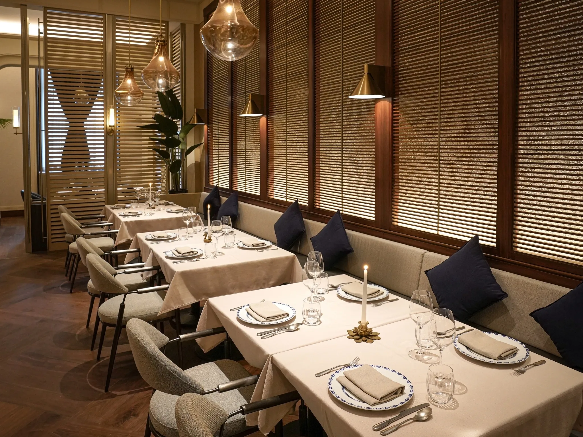 Gilmore & Damian D'Silva