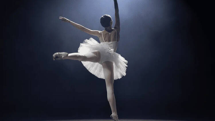 'Del fandom al troleo'. Foto: Celina Martins