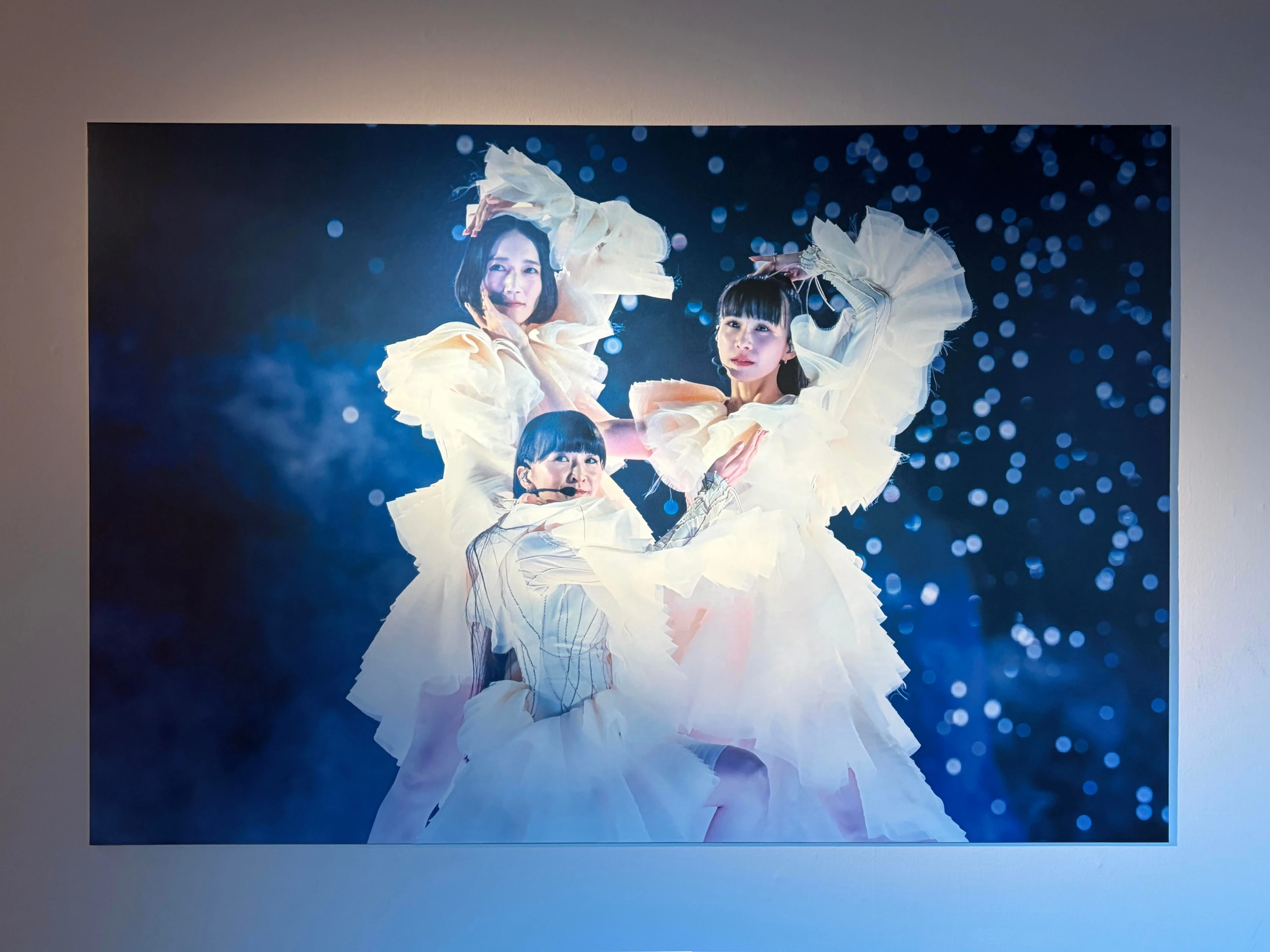 Perfume COSTUME MUSEUM FINAL EDITION