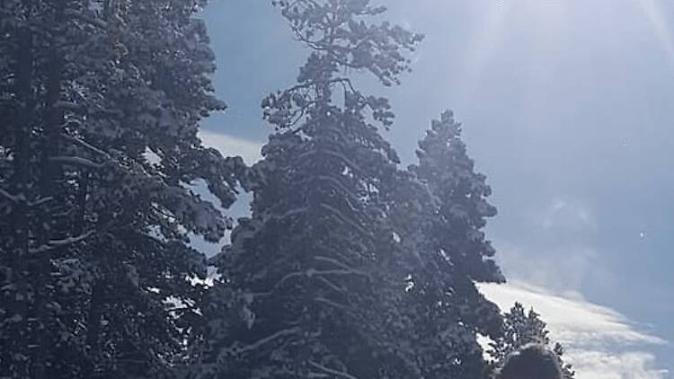 Aransa (La Cerdanya): esquí nòrdic Aransa (La Cerdanya): esquí nòrdic