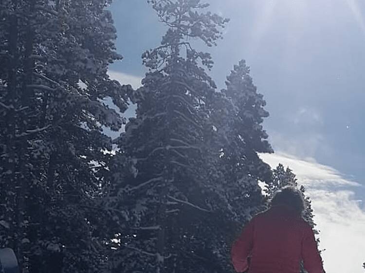 Aransa (La Cerdanya): esquí nòrdic Aransa (La Cerdanya): esquí nòrdic