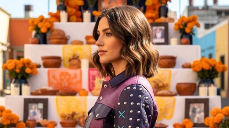 De compras solidarias