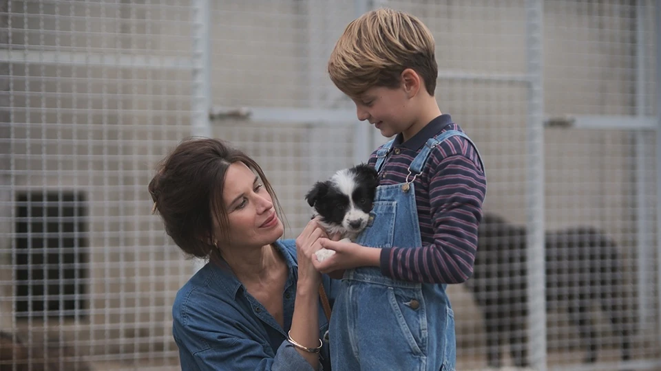 Io non ti lascio solo. Fabrizio Cattani