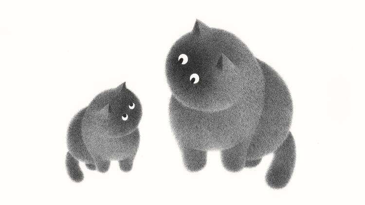 I don’t care what you think about it