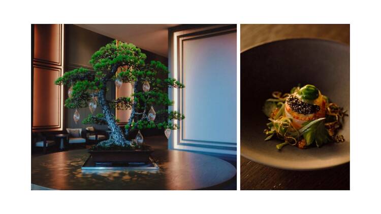 盆栽にインスパイアされたディナーを味わう。 盆栽にインスパイアされたディナーを味わう。