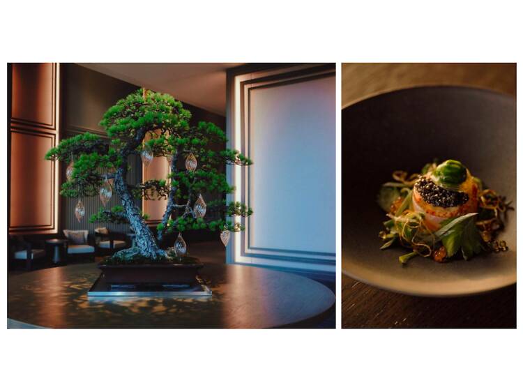 盆栽にインスパイアされたディナーを味わう。 盆栽にインスパイアされたディナーを味わう。
