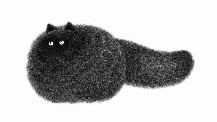 I don’t care what you think about it