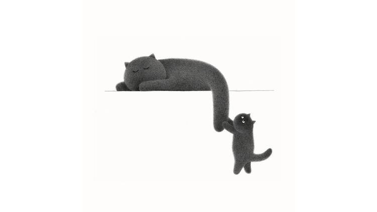 I don’t care what you think about it