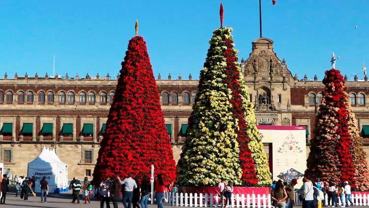Verbena navideña en el Zócalo