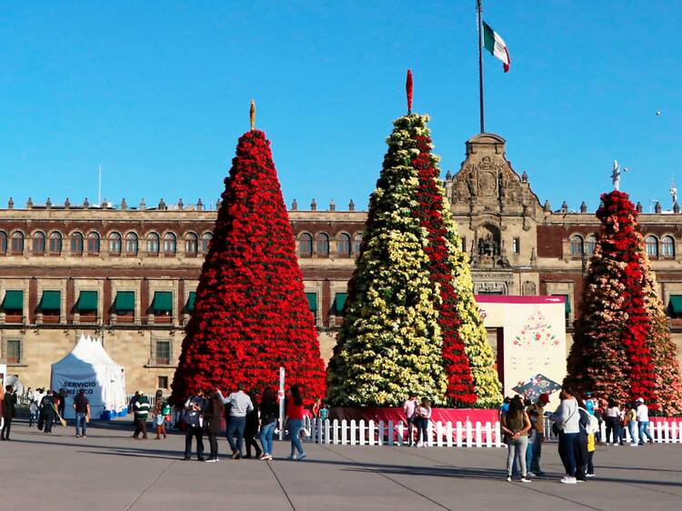 Verbena navideña en el Zócalo