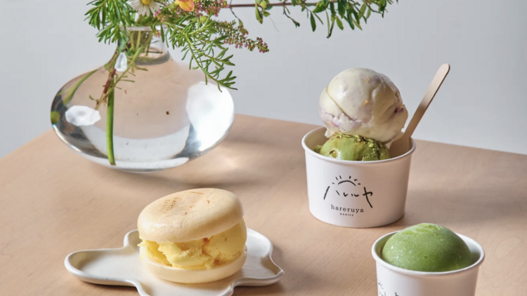 Hareruya Pantry Hareruya Pantry