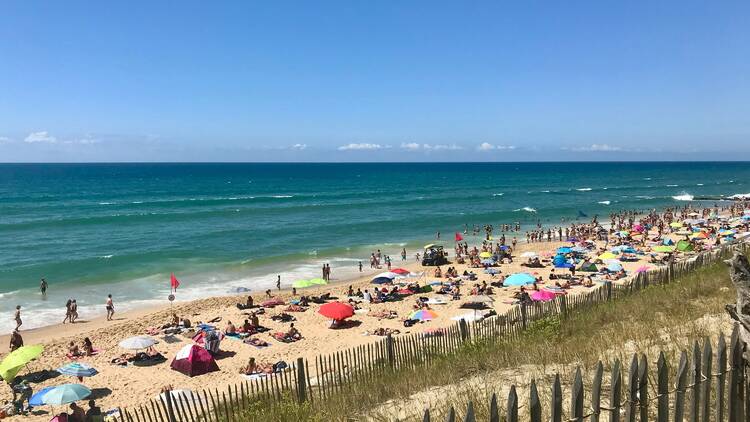 people on beach during daytime