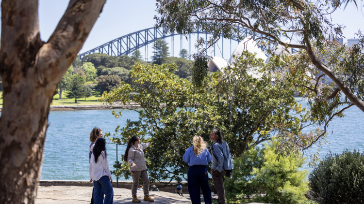 Go on free expert-led walks and hands-on tours