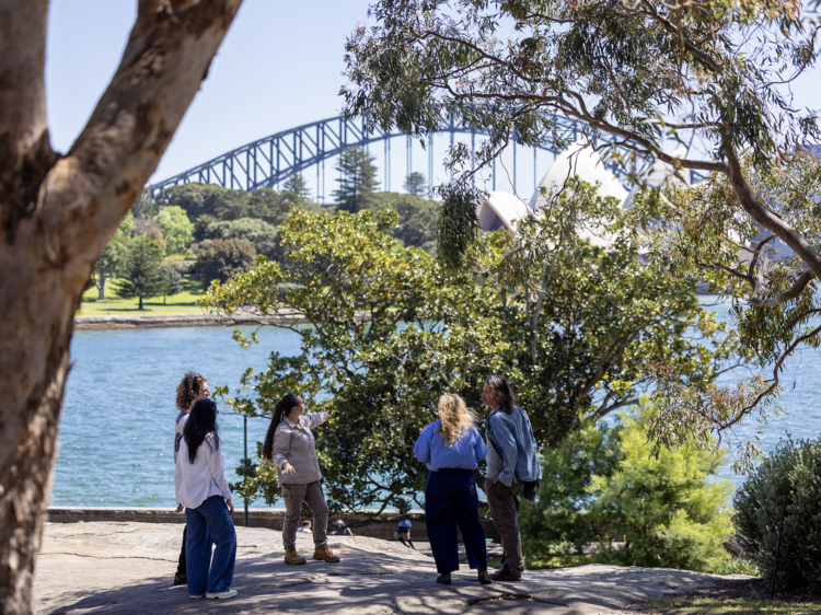 Go on free expert-led walks and hands-on tours