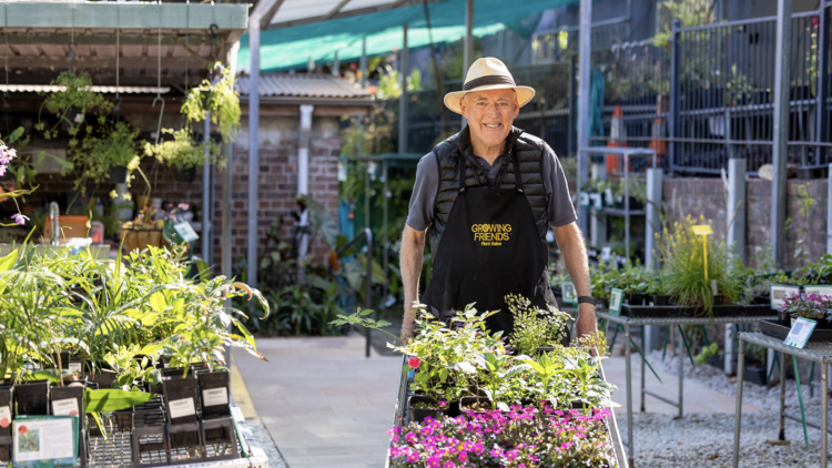 Shop nature-inspired gifts, homewares and rare plants