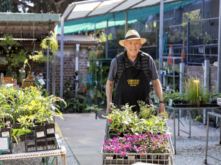 Shop nature-inspired gifts, homewares and rare plants