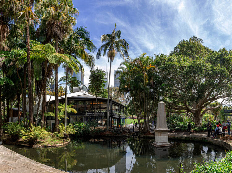 Sip on coffee, cocktails, or a feast among the greenery