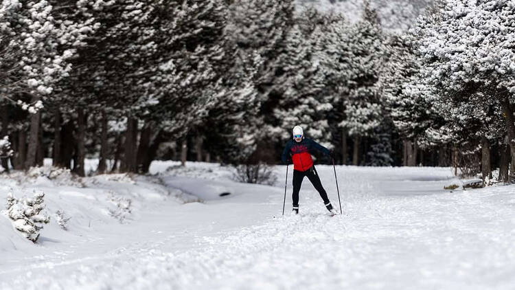 Guils Fontanera (La Cerdanya): esquí nòrdic Guils Fontanera (La Cerdanya): esquí nòrdic