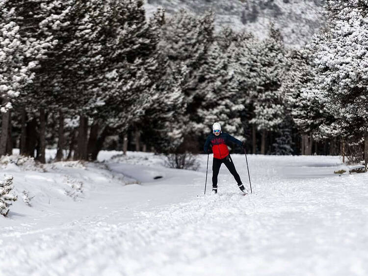 Guils Fontanera (La Cerdanya): esquí nòrdic Guils Fontanera (La Cerdanya): esquí nòrdic