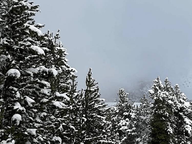 Lles (La Cerdanya): esquí nòrdic Lles (La Cerdanya): esquí nòrdic