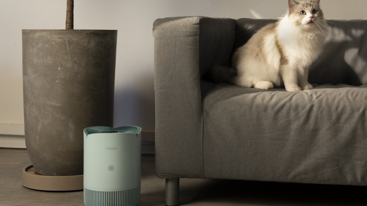 Happie’s Aire Marshmallow Happie’s Aire Marshmallow