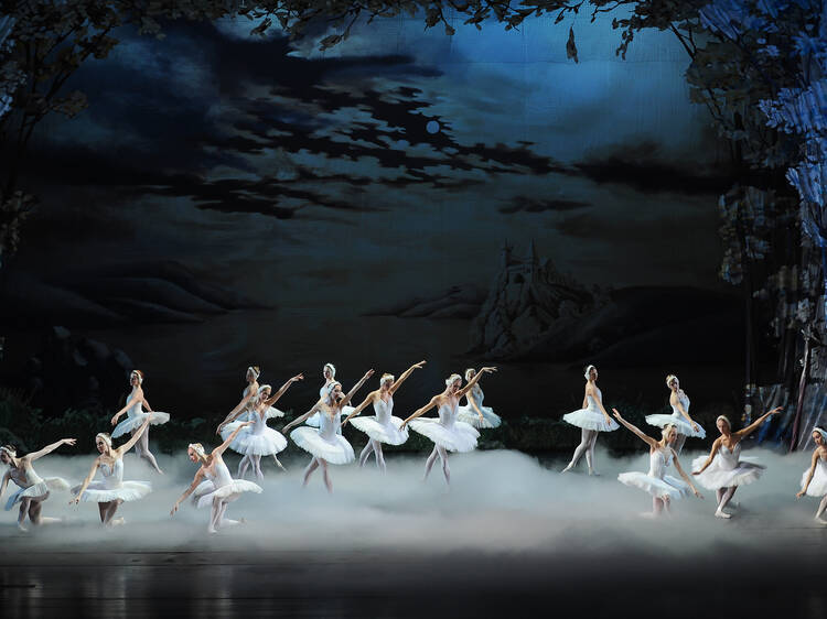 ‘Lago dos Cisnes’ e mais peças de teatro e dança para ver esta semana ‘Lago dos Cisnes’ e mais peças de teatro e dança para ver esta semana