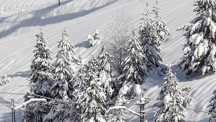El cremallera de Núria, un clàssic