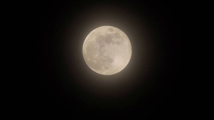 Luna Fría. Shutterstock