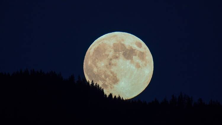Supermoon in the night sky