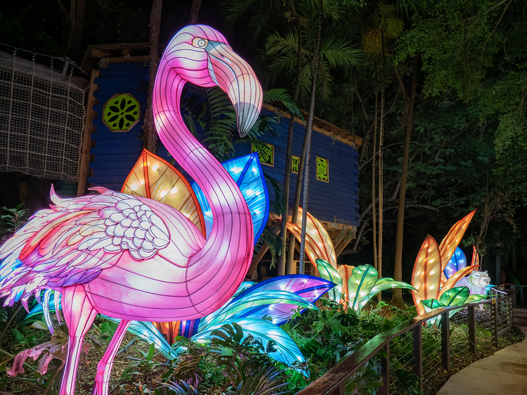 Luminosa: A Festival of Lights Luminosa: A Festival of Lights