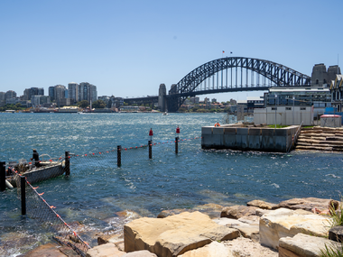 Sydney CBD's popular swimming spot has re-opened just in time for summer dips