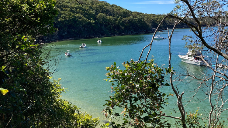 Lace up for the Spit to Manly coastal walk