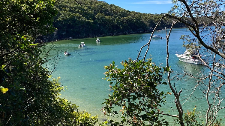 Chinh phục cung đường đi bộ ven biển Spit to Manly - Spit to Manly Coastal Walk